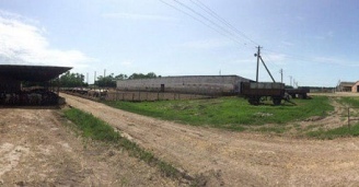 Фото Хороший работник — сытый работник! №11